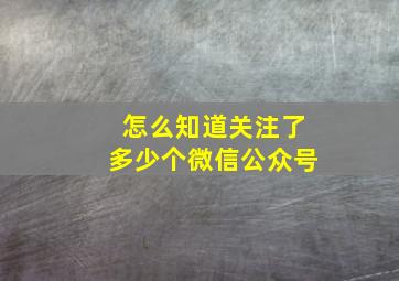 怎么知道关注了多少个微信公众号