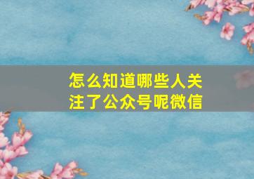 怎么知道哪些人关注了公众号呢微信