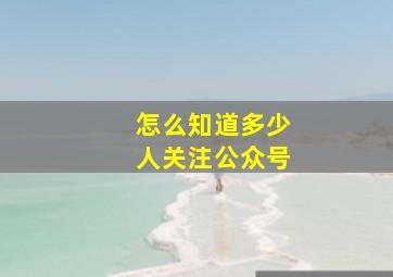 怎么知道多少人关注公众号