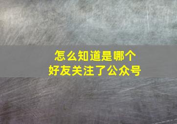 怎么知道是哪个好友关注了公众号