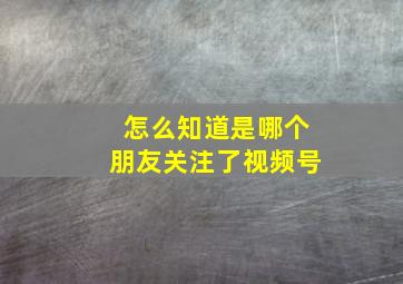 怎么知道是哪个朋友关注了视频号