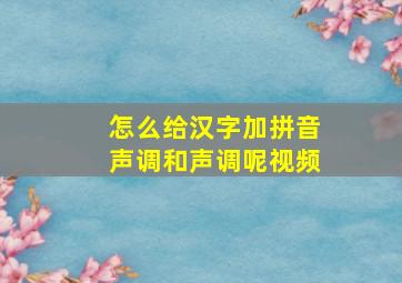 怎么给汉字加拼音声调和声调呢视频