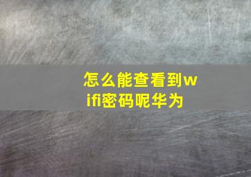 怎么能查看到wifi密码呢华为