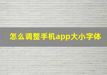 怎么调整手机app大小字体