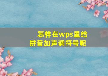 怎样在wps里给拼音加声调符号呢