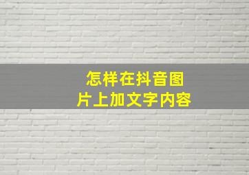 怎样在抖音图片上加文字内容