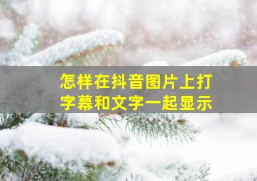 怎样在抖音图片上打字幕和文字一起显示