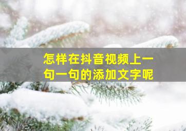 怎样在抖音视频上一句一句的添加文字呢