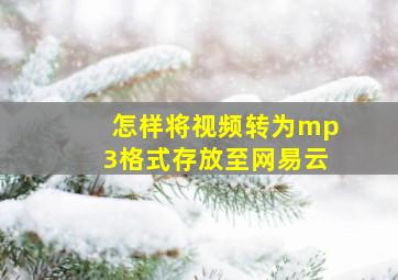 怎样将视频转为mp3格式存放至网易云