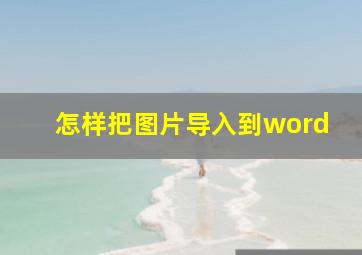 怎样把图片导入到word