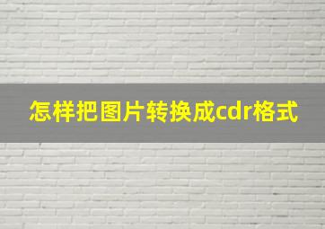 怎样把图片转换成cdr格式