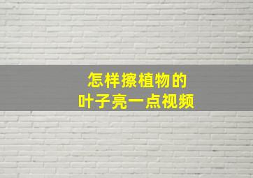 怎样擦植物的叶子亮一点视频