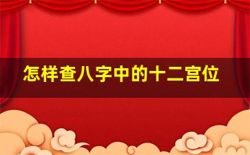 怎样查八字中的十二宫位