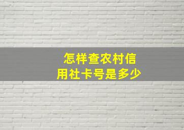 怎样查农村信用社卡号是多少