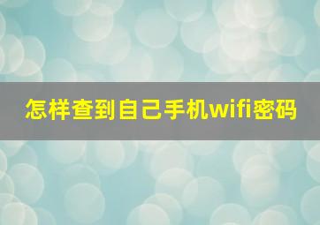 怎样查到自己手机wifi密码