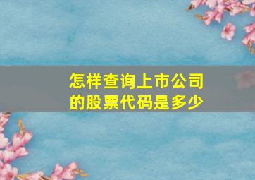 怎样查询上市公司的股票代码是多少