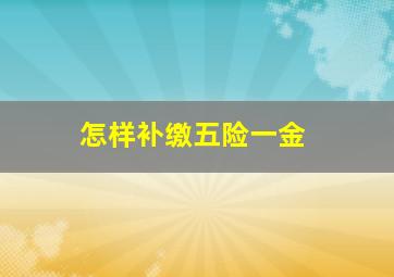 怎样补缴五险一金