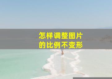 怎样调整图片的比例不变形