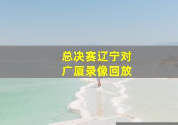 总决赛辽宁对广厦录像回放