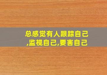 总感觉有人跟踪自己,监视自己,要害自己