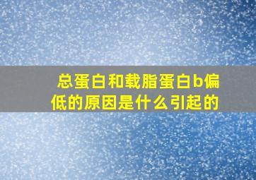 总蛋白和载脂蛋白b偏低的原因是什么引起的