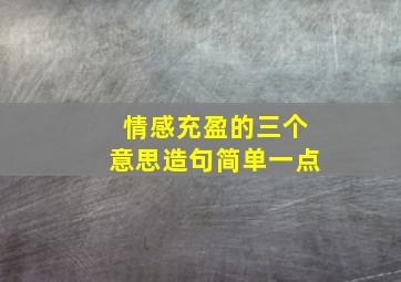 情感充盈的三个意思造句简单一点