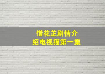 惜花芷剧情介绍电视猫第一集