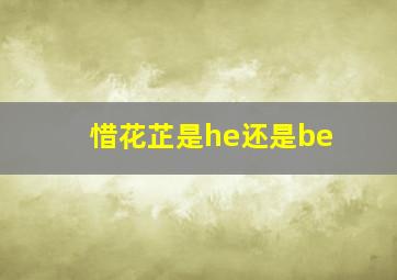 惜花芷是he还是be