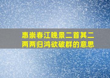 惠崇春江晚景二首其二两两归鸿欲破群的意思