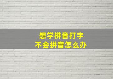 想学拼音打字不会拼音怎么办