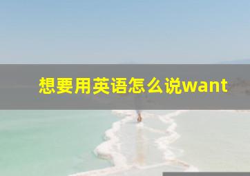 想要用英语怎么说want