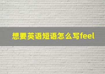 想要英语短语怎么写feel