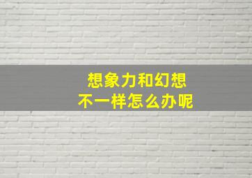 想象力和幻想不一样怎么办呢