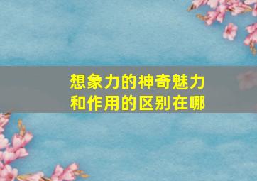 想象力的神奇魅力和作用的区别在哪