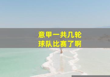 意甲一共几轮球队比赛了啊