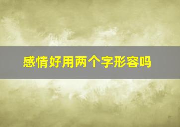 感情好用两个字形容吗