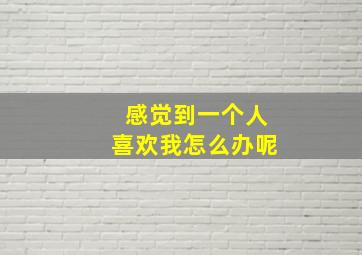 感觉到一个人喜欢我怎么办呢