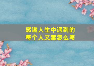 感谢人生中遇到的每个人文案怎么写