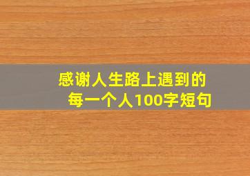 感谢人生路上遇到的每一个人100字短句