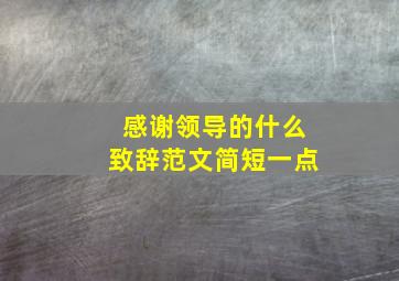 感谢领导的什么致辞范文简短一点