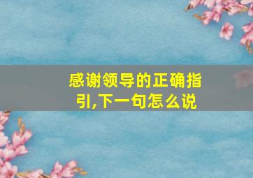 感谢领导的正确指引,下一句怎么说