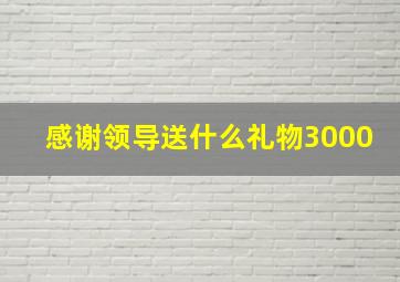 感谢领导送什么礼物3000