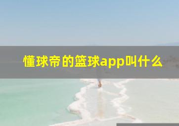 懂球帝的篮球app叫什么