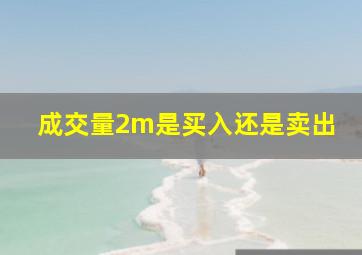 成交量2m是买入还是卖出