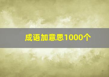 成语加意思1000个