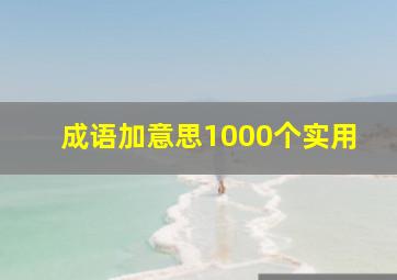 成语加意思1000个实用