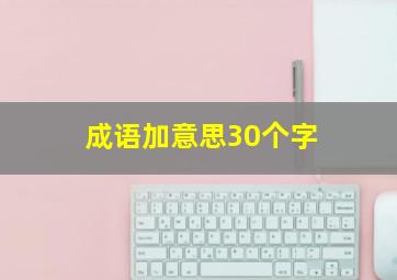 成语加意思30个字