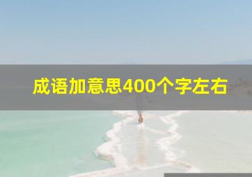 成语加意思400个字左右