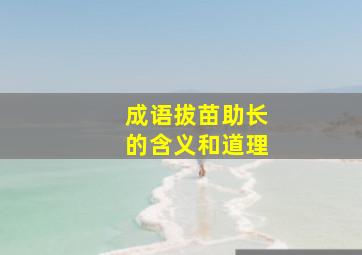 成语拔苗助长的含义和道理