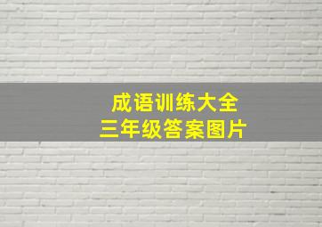 成语训练大全三年级答案图片